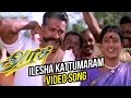 Arasu Tamil Movie | Ilesha Kattumaram Video Song | Sarathkumar | Simran | Mani Sharma