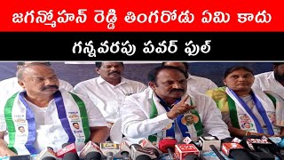 గన్నవరపు శ్రీనివాస అనే నేను ఒక సామాన్య కార్యకర్తను|సమన్వయకర్తగా నియమించిన జగన్ మోహన్ రెడ్డి గారు.