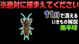 【あつ森】11月(南半球)で消える虫を紹介！オケラについて出現時間や条件・売るときの値段など徹底解説します！レアな虫を効率よく捕まえる方法【あつまれどうぶつの森　11月の虫図鑑コンプリート】