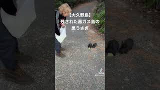 【大久野島】訳あり 残された毒ガス島の黒うさぎ