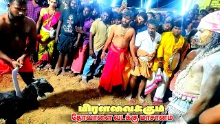 மிரளவைக்கும் தோவாளை வடக்கு மாசானம் சுடலை ஆட்டம் 2024 | Thovalai vadakku masanam sudalai samiattam