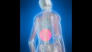 What is Thoracic Back Pain?