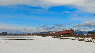 雪景色の北陸本線、長浜付近赤EF510牽引の4060レ貨物列車