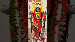 জয় মা পাগলী কালী 🌺🙏#কালীমা #মাকালী #পাগলী কালী #kalimata #kalimaa #maakali #shorts