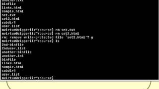 VTC Player   Unix Shell Fundamentals, Deleting Files