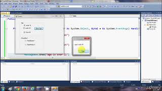 Visual Basic NET Tutorial Beginners How to use Radio buttons