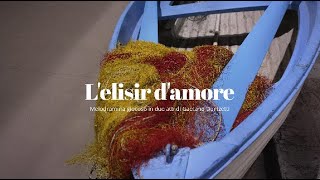 L'elisir d'amore _Teatro Giuseppe Verdi di Salerno_Nov 24