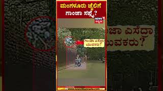 #shorts Mangalore Jail Story | ಯುವಕರು ಕವರ್ ಬಿಸಾಡುವ ದೃಶ್ಯ ಕಾರಿನ ಕ್ಯಾಮೆರಾದಲ್ಲಿ ಸೆರೆ | N18S