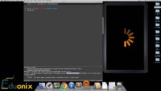 16 Lua Data Types & Scope