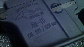 Anderson AM15,  the Naked Gun 2.5