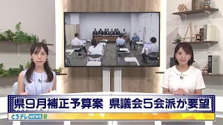 栃木県の９月補正予算案　県議会５会派が要望