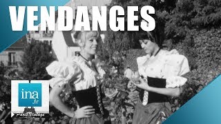 1969 : Les vendanges de Montmartre | Archive INA