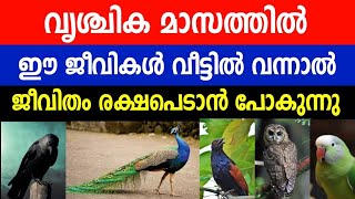 ഈ മാസം ഭഗവാൻ വീട്ടിലേക്ക് അയക്കുന്ന ജീവികൾ | ഇവയെ കണ്ടാൽ മഹാഭാഗ്യം