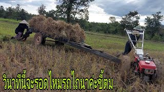 ขนข้าวหนีพายุฝนมาแล้วรถไถนาคาบ่าวดาวโดนแม่ย่าด่าน้องเนยขยันมาก