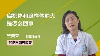 扁桃体和腺样体肿大是怎么回事 王美荣 武汉市第五医院