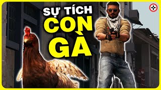 Những Sự Thật VÔ DỤNG Về GÀ Trong Counter Strike