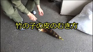 竹の子の皮のむき方（細川ビルの方向け）