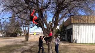 "Harlem Shake" In a tree part 1