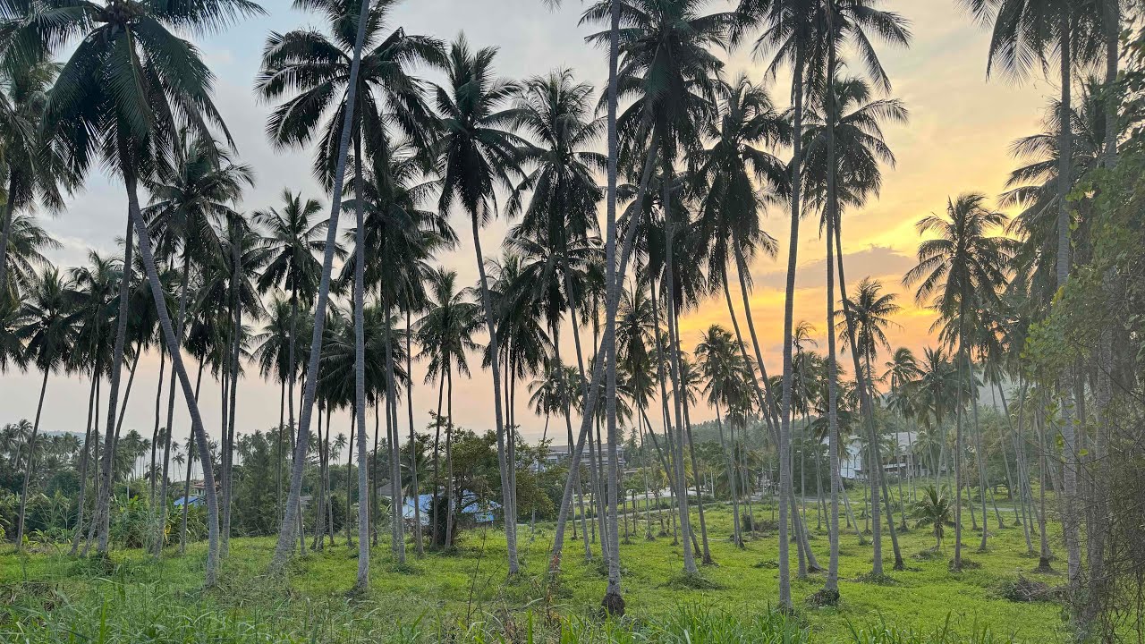 Exploring Thailand Youtube