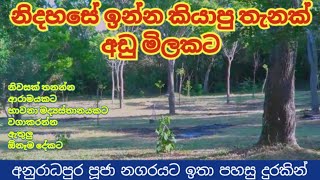 පර්චසය පන්ස් පන්දාහ බැගින් වටිනා ඉඩමක් | Land for sale in Anuradhapura Sri Lanka | Kandy Property