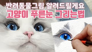 반려동물초상화그리기/반려동물그림/고양이그리기/고양이 눈 그리기