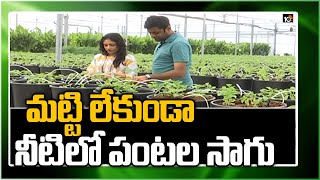 మట్టి లేకుండా.. నీటిలో పంటల సాగు | Floating Hydroponic Vegetables Cultivation | Matti Manishi | 10TV