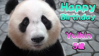 【５歳誕生日メモリアル】アドベンチャーワールド結浜🐼Happy birthday!　Yuihin🎁