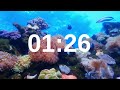 8 minute timer relaxing music lofi fish background