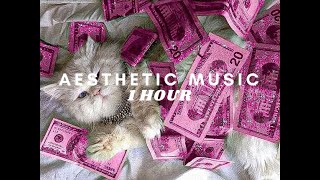 1 HOUR OF AESTHETIC MUSIC | (no copyright)