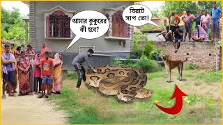 ভয়ংকর সাপের কামড় থেকে পরিবারকে বাঁচালো কুকুর! Snake vs Dog | যমরাজ | Russell's Viper Rescue #viper