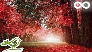 Beautiful Relaxing Music - Romantic Music with Piano, Cello, Guitar & Violin | "Autumn Colors"