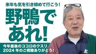 【野鴨であれ！】今年最後のココロのクスリ