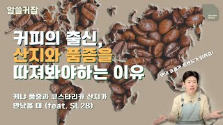 [알쓸커잡] 커피의 산지와 품종을 따져보면 맛이 보인다?!