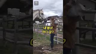 썸녀가 가면을 벗자.. 말의 반응 ㅋㅋ