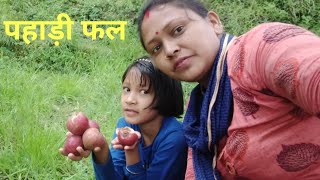 पहाड़ी फल,इनका स्वाद और फायदे || wild natural fruits in hills || pahadi lifestyle vlog ||