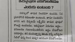 లక్ష్మీ దేవి ఇరు వైపులా ఏనుగులతో ఎందుకు ఉంటుంది?#leela talks