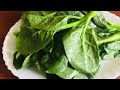 story of basella alba how to grow malabar spinach