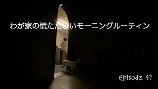 《Morning Routine》モーニングルーティンは、鳩に注射、猫に点滴、ウサギに薬、ラクダの赤ちゃんは大騒ぎ。Our busy morning routine.