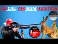 Long Range Rabbit Hunting - With 60 FT/LB air rifle