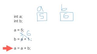 1311 Variable Assignment and Initialization