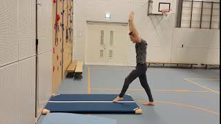 Beginsituatie - Handstand