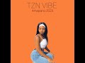 TZN VIBE - Amapiano 2023