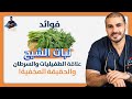 اسرار نبات الشيح/ مالم تعرفه من قبل وعلاج الديدان الاقوي/  قتل خلايا السرطان