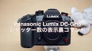 Panasonic Lumix DC-GH6 シャッター数の表示裏コマンド