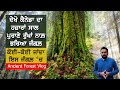 Hidden Canadian Gem THOUSANDS of Years Old, V9 Punjabi Vlogs