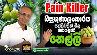 නෙල්ලි | Nelli |  නෙල්ලිවල රහස් |  හෙල වෙදකමේ නෙල්ලි | ඔසුගුණාලංකාරය |  දේශීය වෙදකම් | Ayurveda