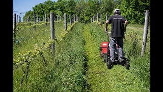 Using a Cyclone at the Vineyard