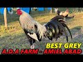 Grey A.D.A FARM Amiel Abad