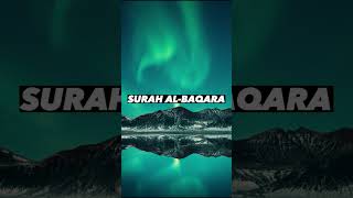 SURAH AL-BAQARA |Ayaat 29+30| Recitation by Mishary Rashid Alafasy | Islam The Heavenly Path