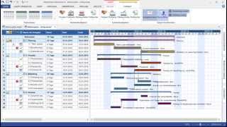 MindView 6 - Projektmanagement
